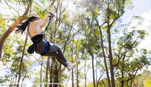 Hit the High Ropes